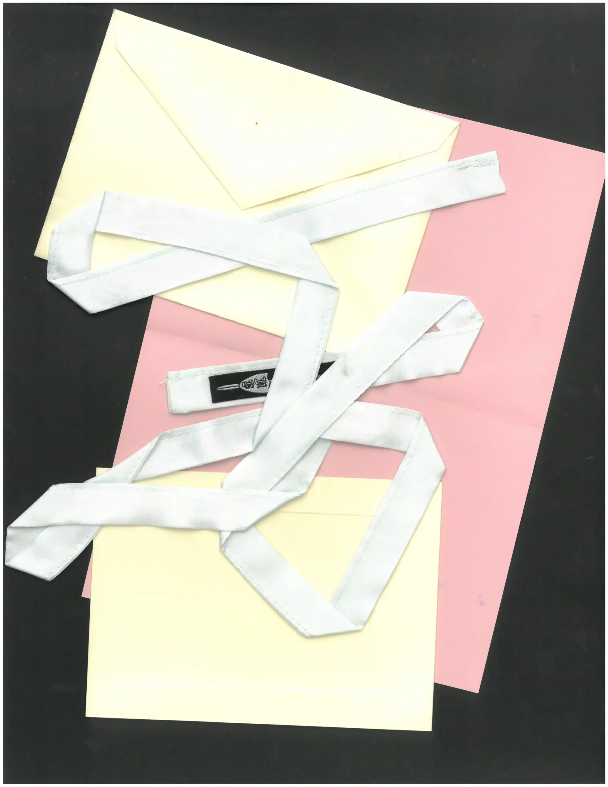 Luxe Silk Ribbon - 𝔰𝔥𝔬𝔯𝔱𝔶 - Image 6