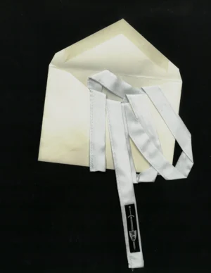 Luxe Silk Ribbon - 𝔰𝔥𝔬𝔯𝔱𝔶 - Image 5