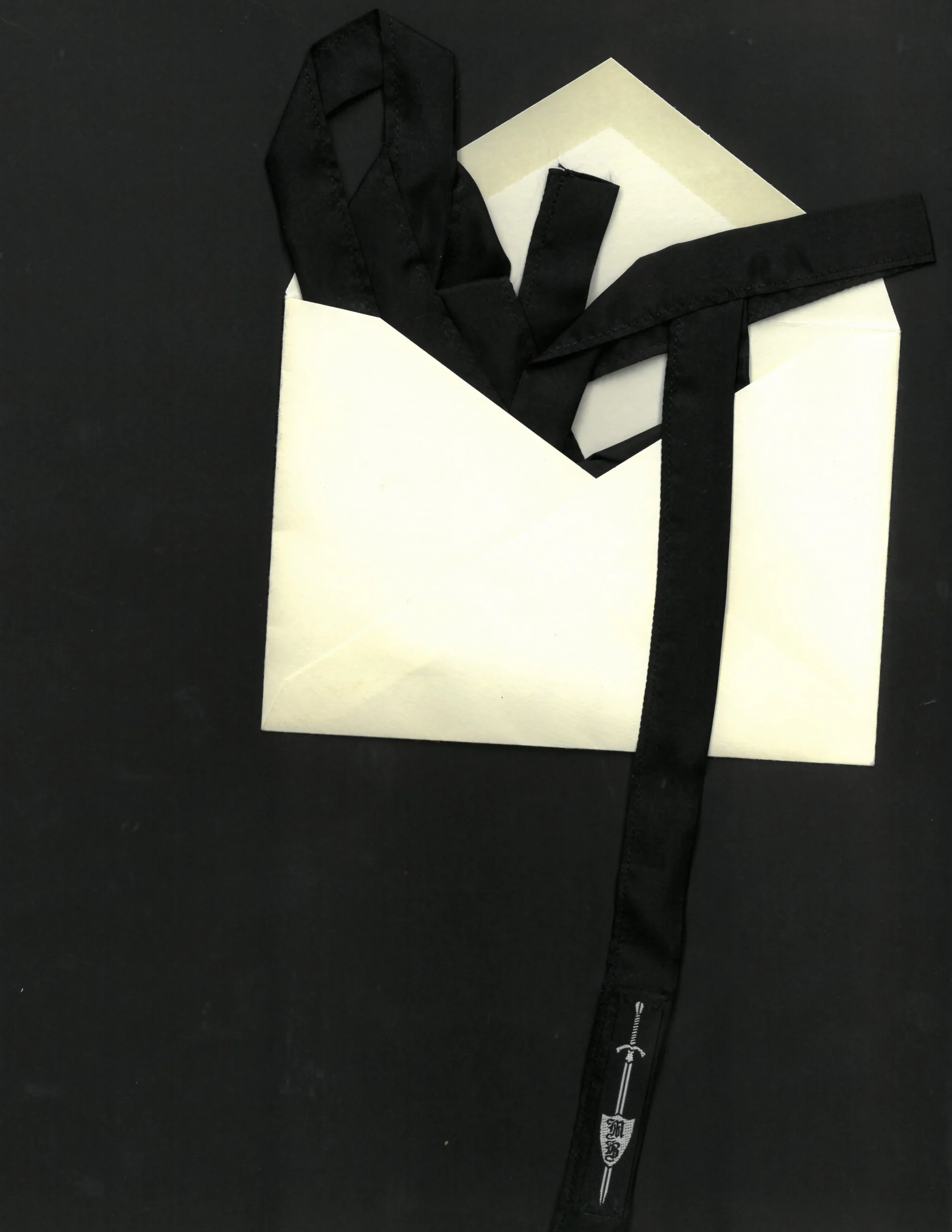 Luxe Silk Ribbon - 𝔠𝔩𝔞𝔰𝔰𝔦𝔠 - Image 1