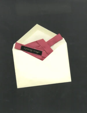 Luxe Silk Ribbon - 𝔰𝔥𝔬𝔯𝔱𝔶 - Image 1