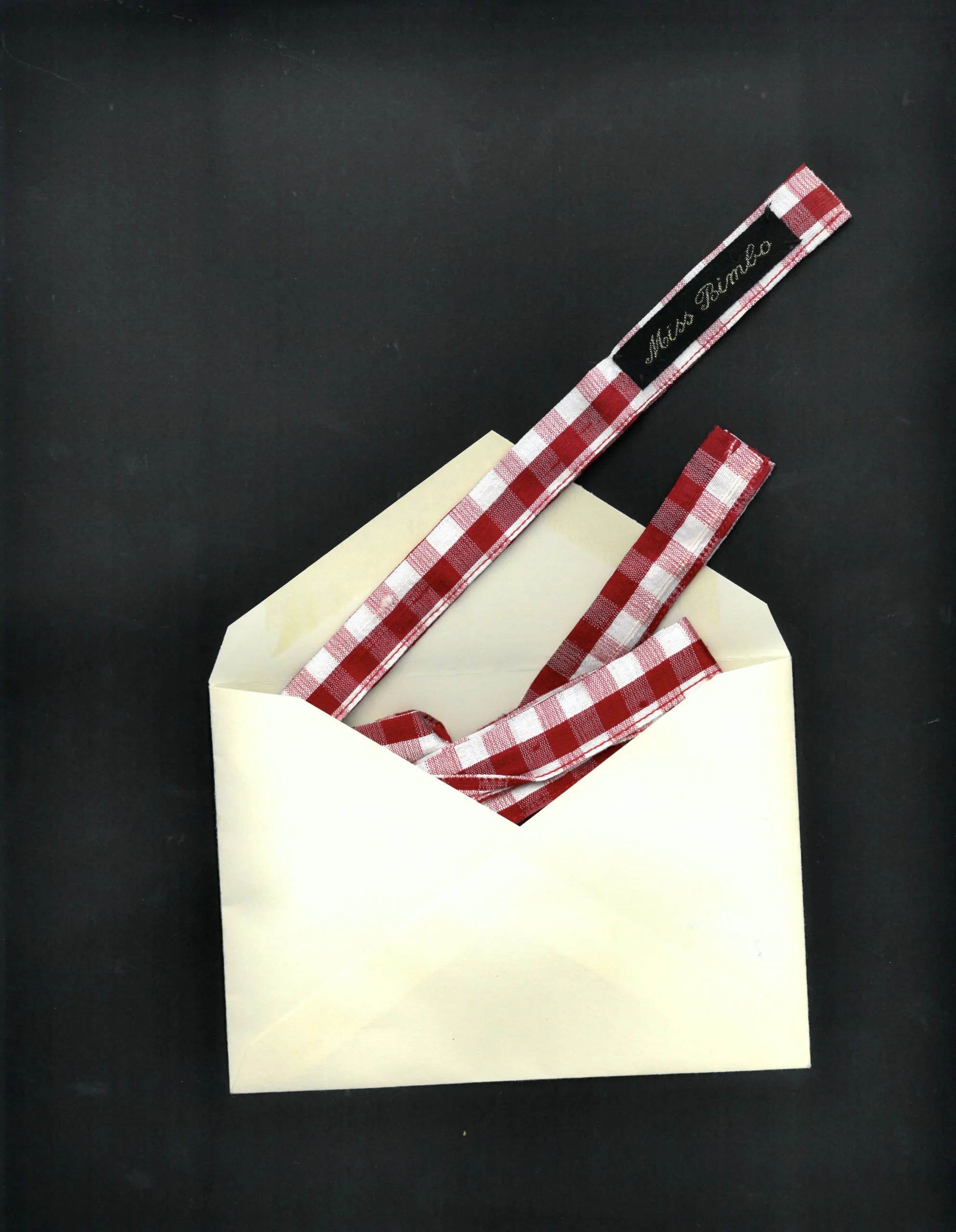Luxe Silk Ribbon - 𝔰𝔥𝔬𝔯𝔱𝔶 - Image 3