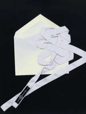 Luxe Silk Ribbon - 𝔠𝔩𝔞𝔰𝔰𝔦𝔠 - Image 4