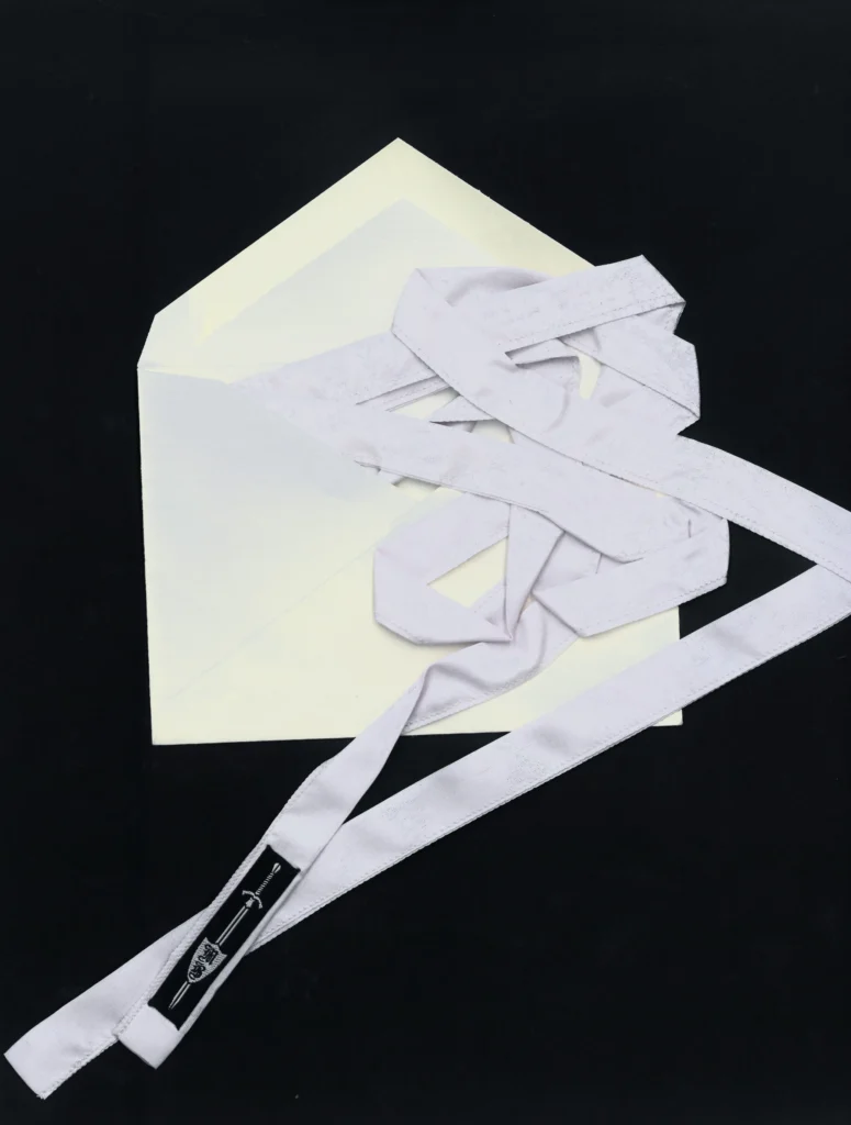 Luxe Silk Ribbon - 𝔠𝔩𝔞𝔰𝔰𝔦𝔠