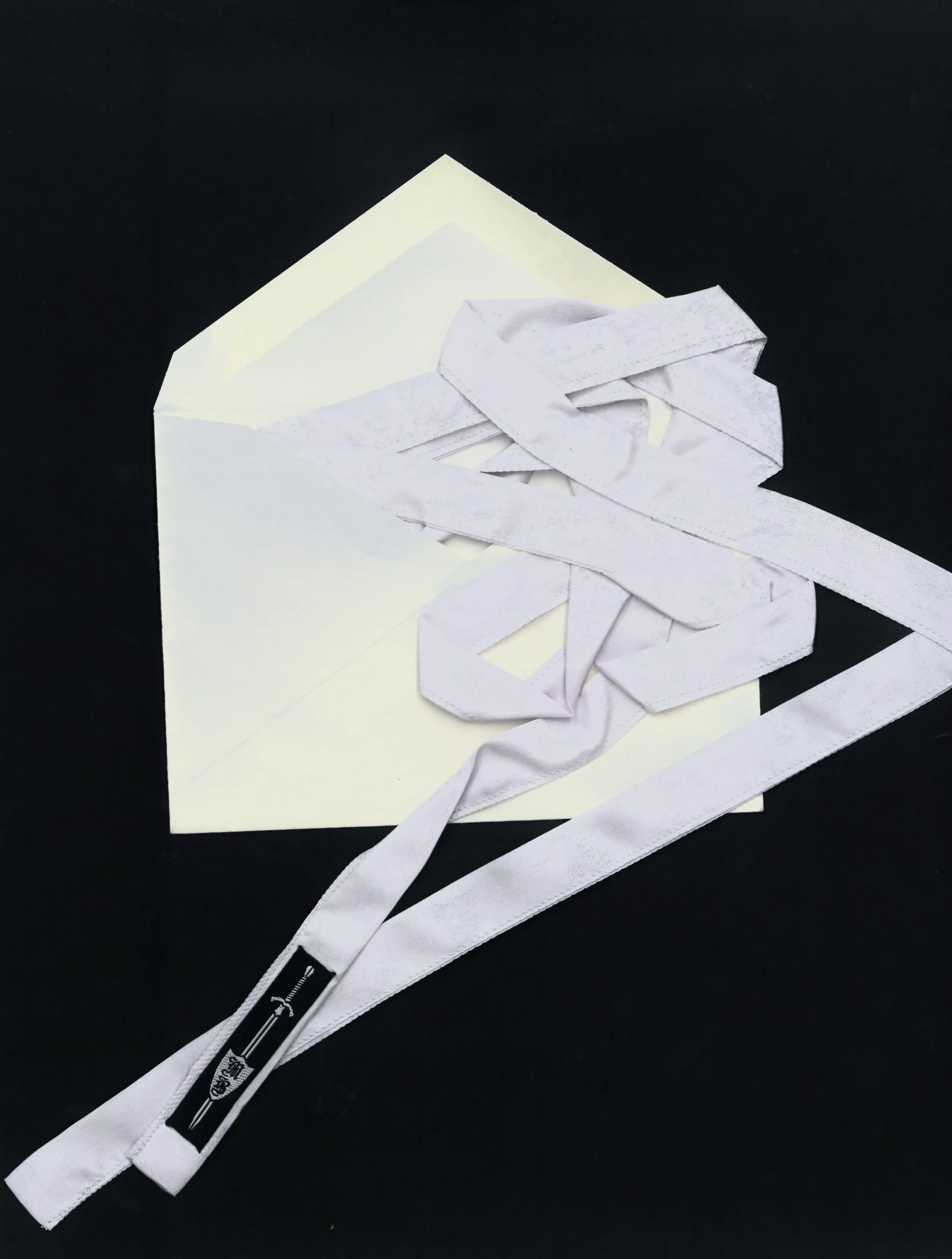 Luxe Silk Ribbon - 𝔠𝔩𝔞𝔰𝔰𝔦𝔠 - Image 4