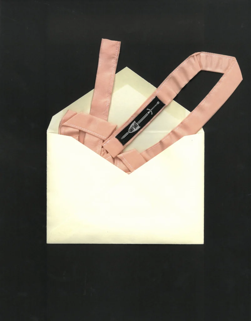 Luxe Silk Ribbon - 𝔠𝔩𝔞𝔰𝔰𝔦𝔠
