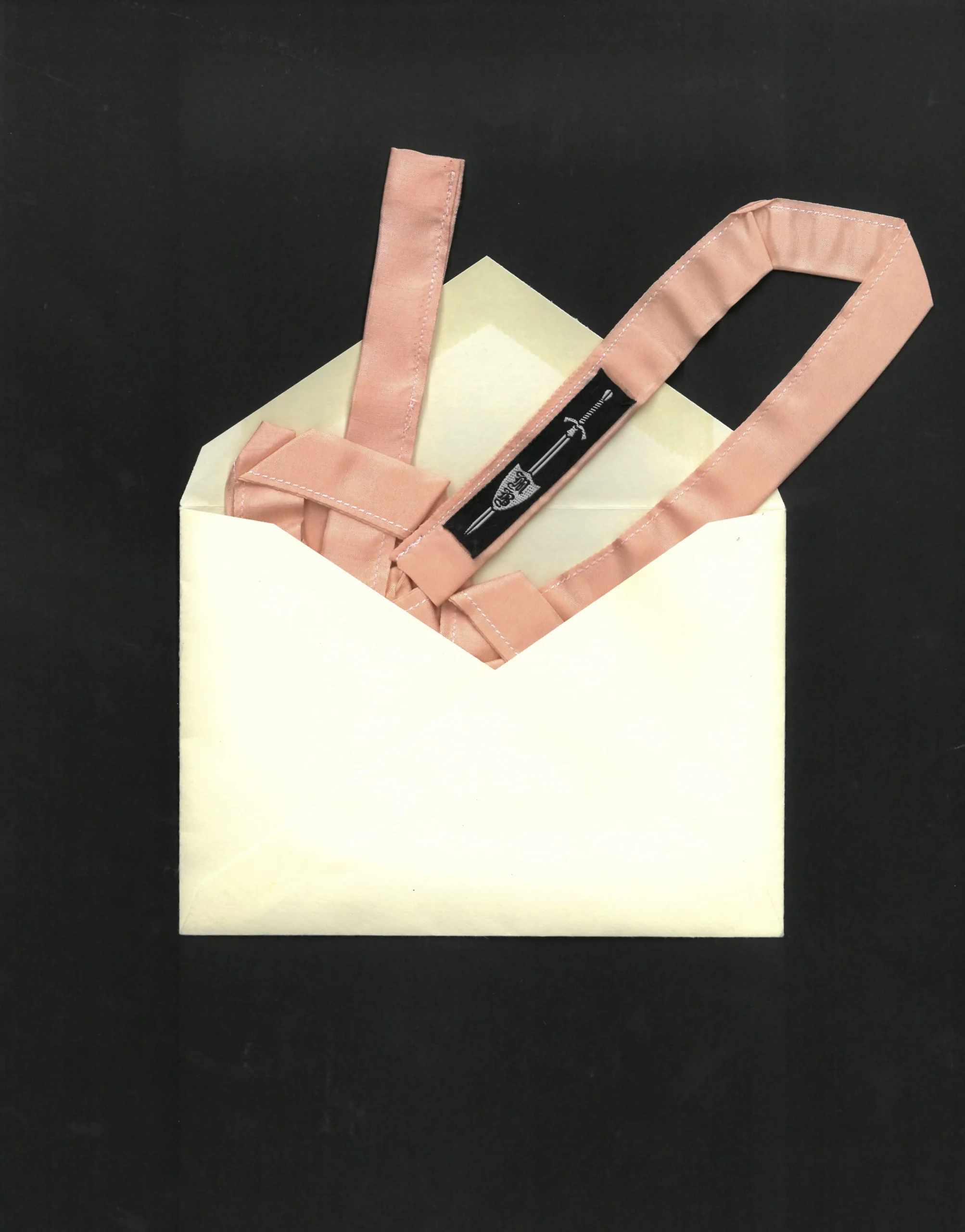 Luxe Silk Ribbon - 𝔠𝔩𝔞𝔰𝔰𝔦𝔠 - Image 6